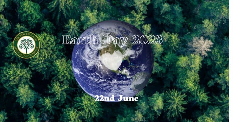 aerial shot of forest with the earth in the middle of it with a hear made of clouds right in the centre of the earth for earth day 2023