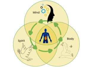 Inforgraphic showing the mind, body and spirit connection to gut health