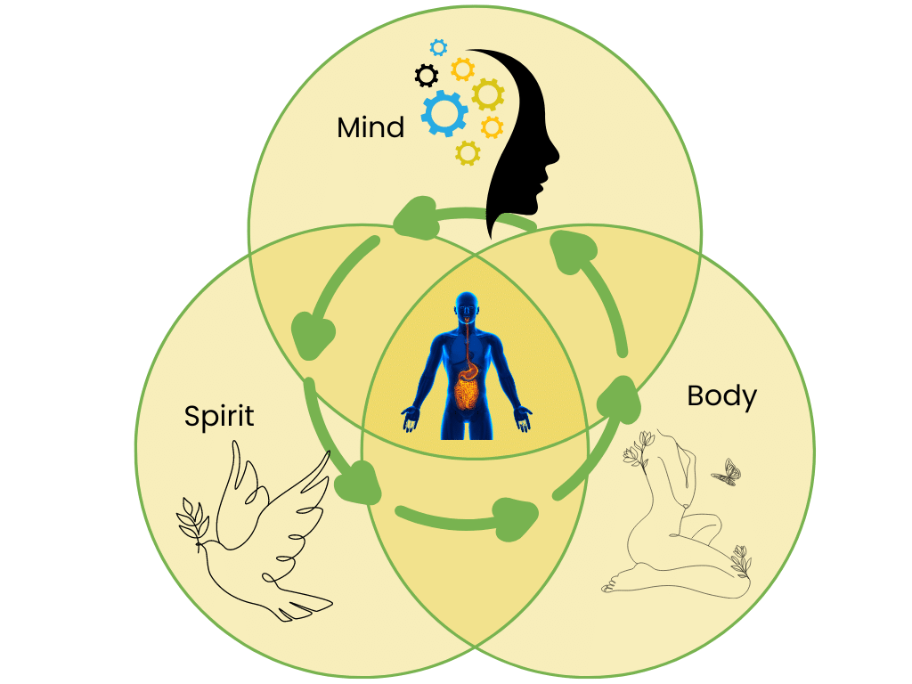 Inforgraphic showing the mind, body and spirit connection to gut health