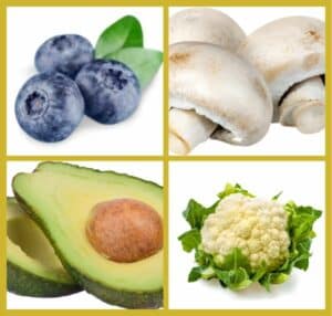 picture of blueberries, mushrooms, avocado and cauliflower all containing Salicylates that we may be intolerant to causing gut health issues