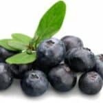 An picture of blueberries. Blueberrieses are a great way to ensure your good gut health
