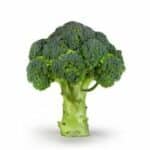 Picture of a stalk of broccoli. Very good for maintaining a healthy gut.