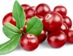 An picture of cranberries Cranberries are a great way to ensure your good gut health