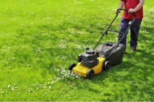 A person is mowing the lawn with a yellow petrol lawnmower. This can be exercise for a healthy gut