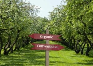 tree of knowledge article with a signpost in a orchard saying organic or convention making informed food choices