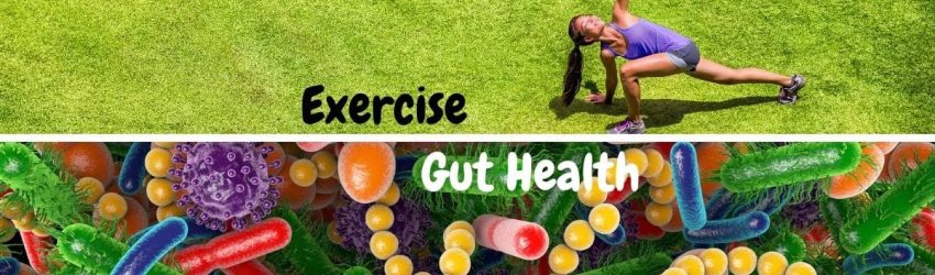 Exercise gut health (1)