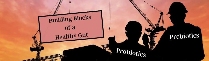 building site with two workers, one probiotic and the other prebiotic. A crane is lifting the sign that reads building blocks of a healthy gut